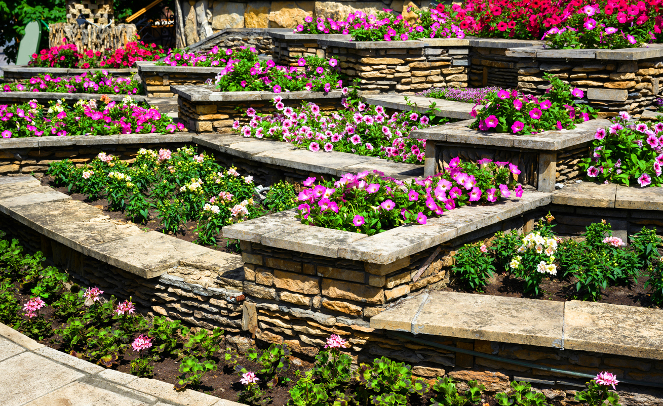 Aménagement paysager avec murs de soutènement et massifs de fleurs dans l'arrière-cour d'une maison résidentielle. Aménagement paysager d'un jardin résidentiel haut de gamme en été. Fleurs et plantes sur de jolies terrasses fleuries dans une cour paysagée.