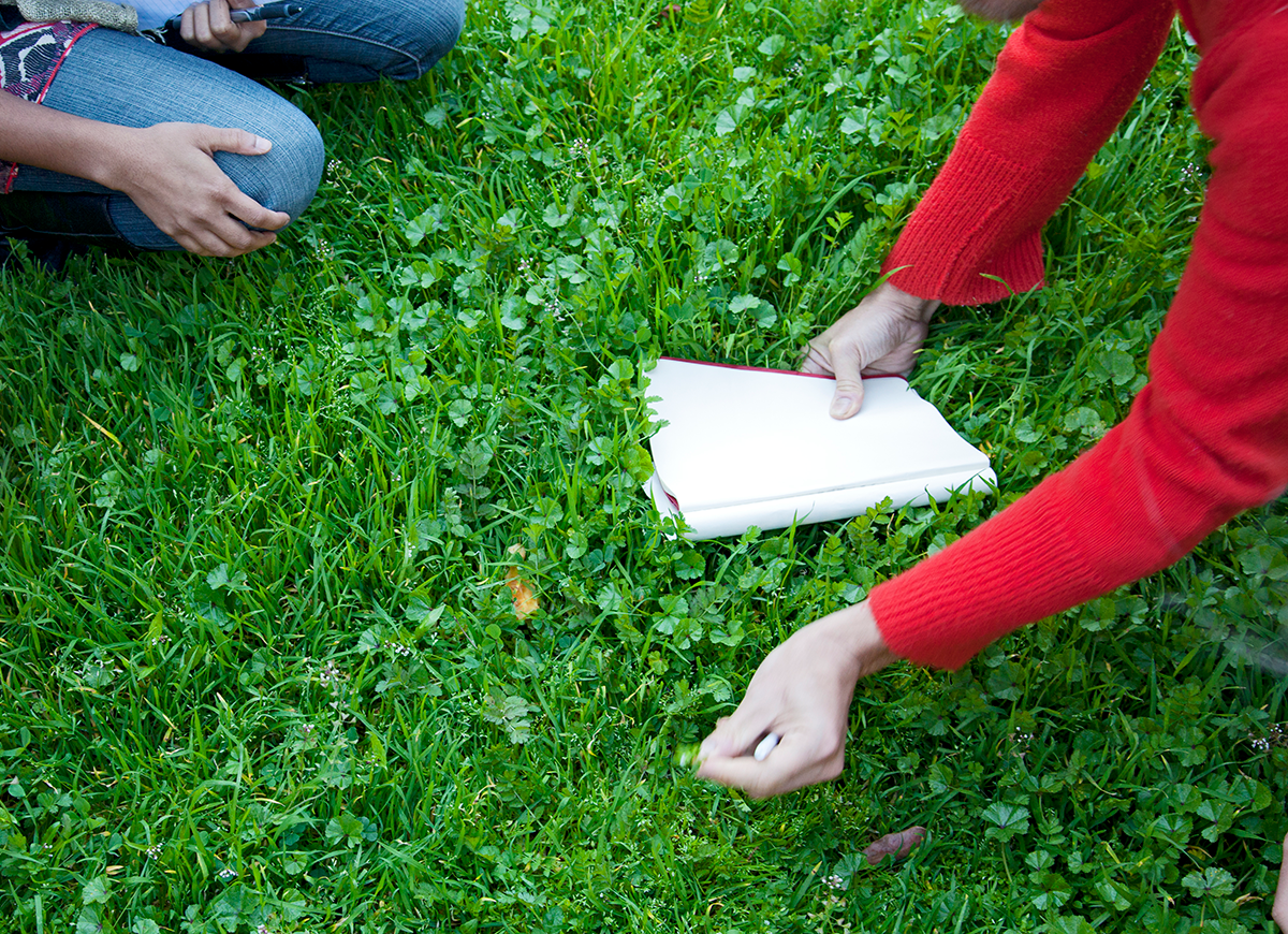 People foraging for edible plants in a home yard.