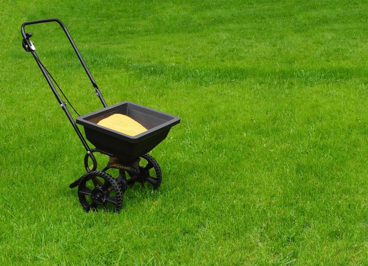 11 Ways You’re Accidentally Ruining Your Lawn