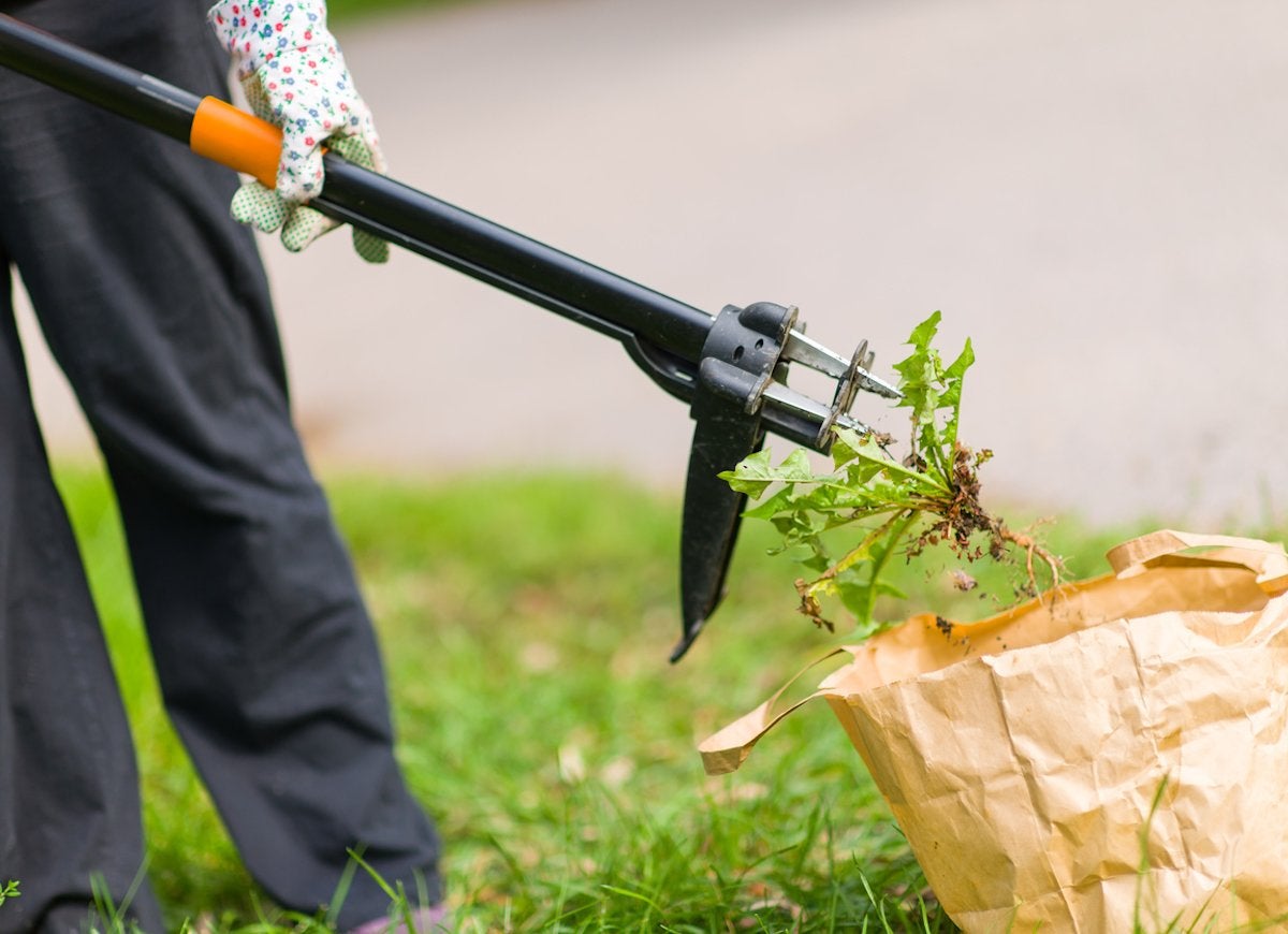 15 Things to Do in the Yard Before the First Frost