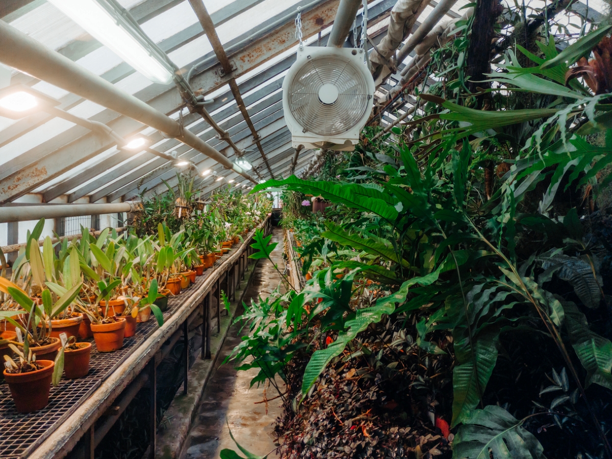 how to heat a greenhouse - forced air fan