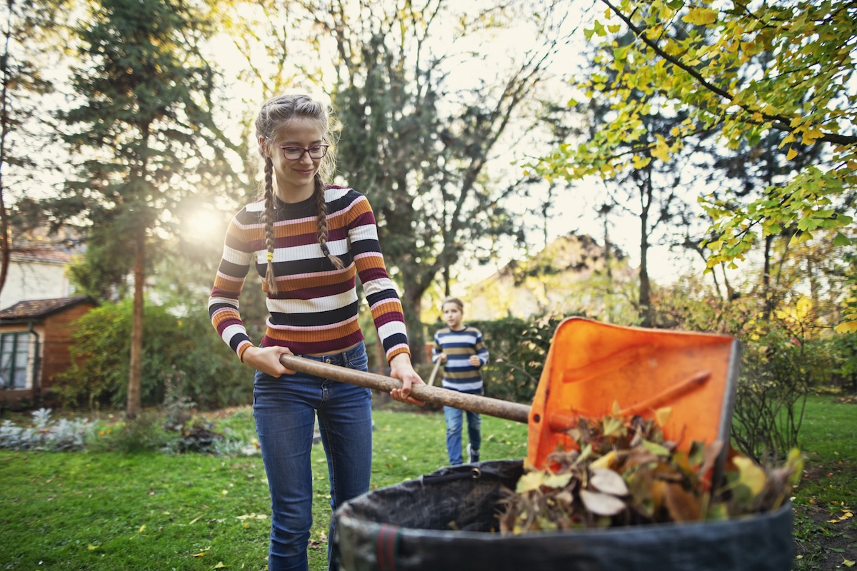 A teen girl wearing glasses and a striped shirt shovels dead leaves into a composting bin