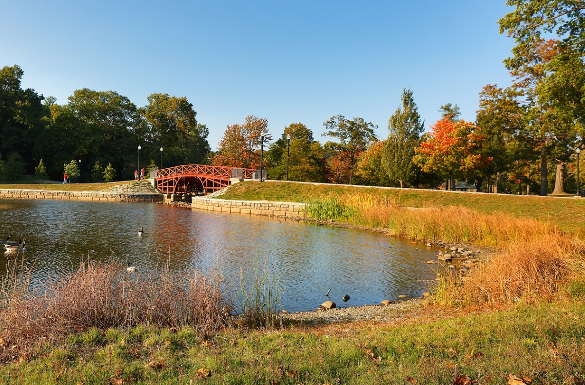 Pont rouge près du lac et du parc herbeux.