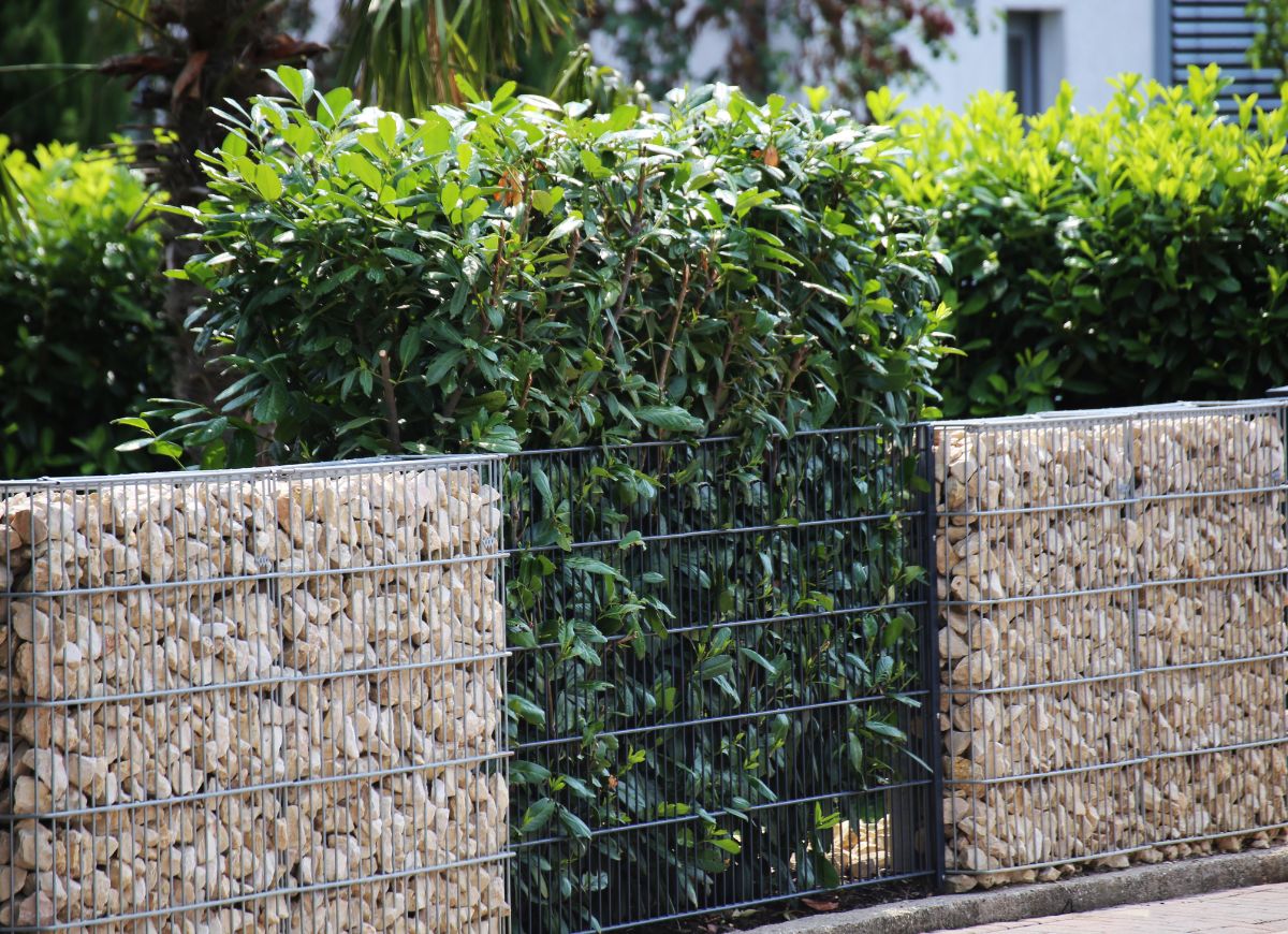 gabion wall