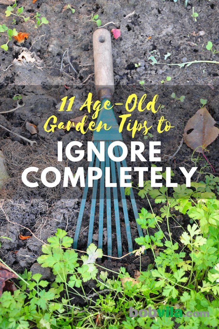 11 Age-Old Gardening Tips to Ignore Completely