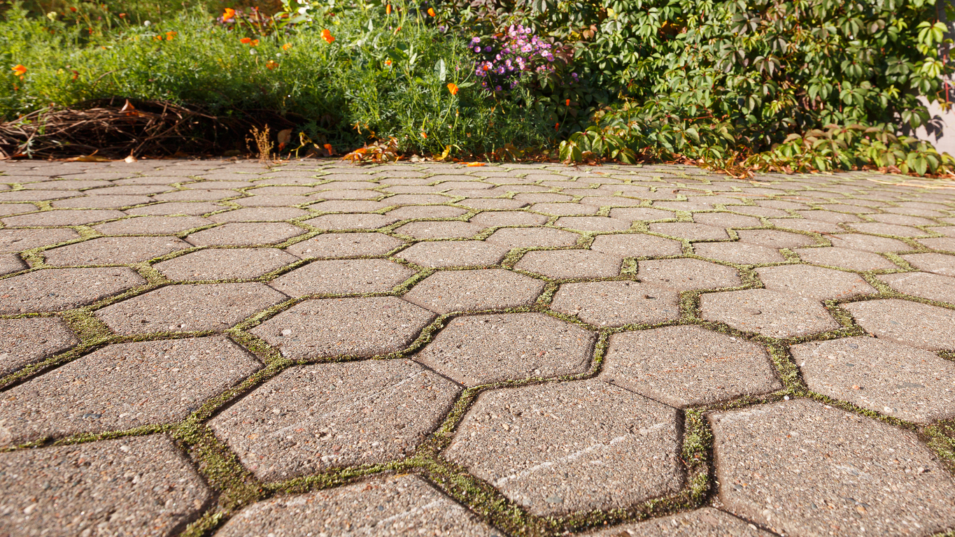 stone garden path with moss growing between stones