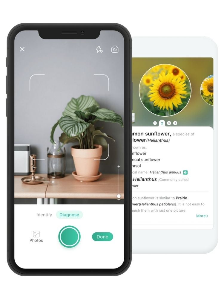 The Best Gardening and Plant Identification Apps for Your Smartphone