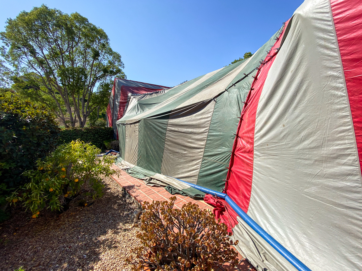 tented house for termites and fumigation