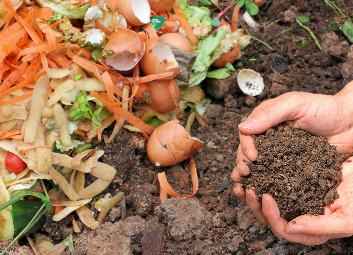 8 astuces pour composter rapidement et obtenir de l'engrais gratuit