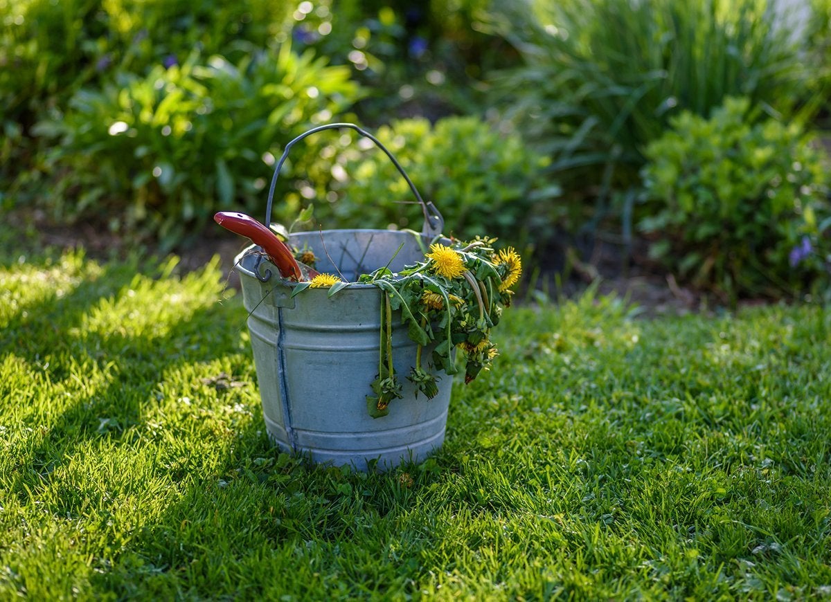 The Cheapest Ways to Make Your Home Look Brand-New Again