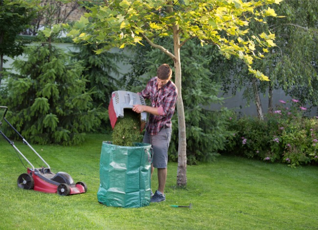 what to do with grass clippings