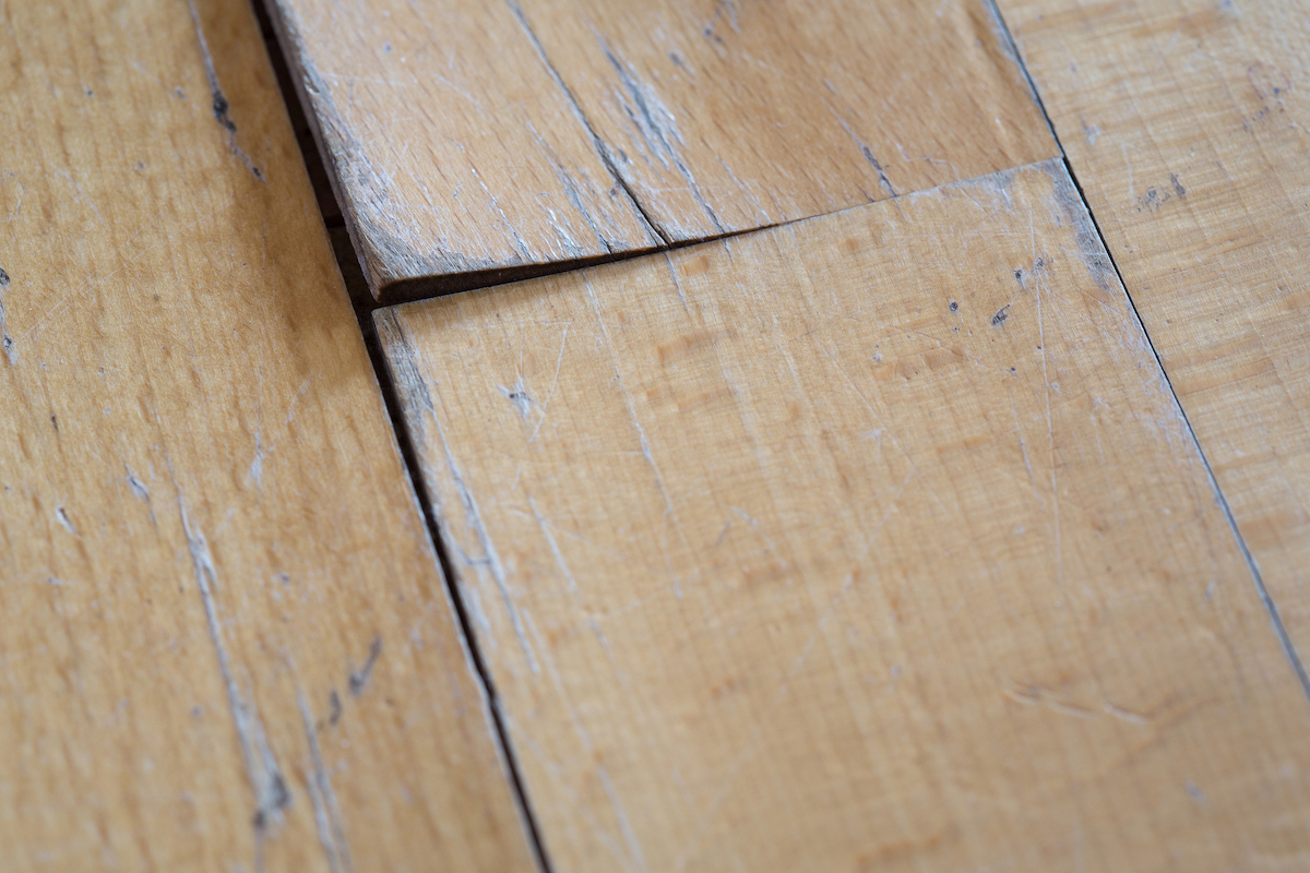 Two light faux wood laminate flooring planks buckle at the edge due to water damage.