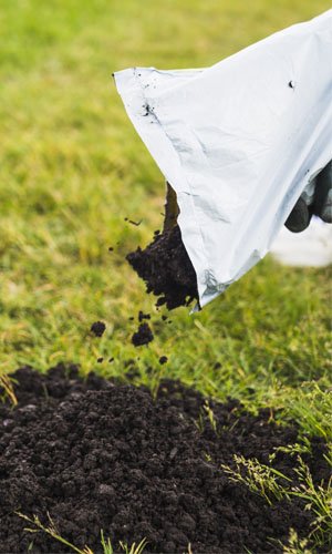 Comment utiliser efficacement le compost