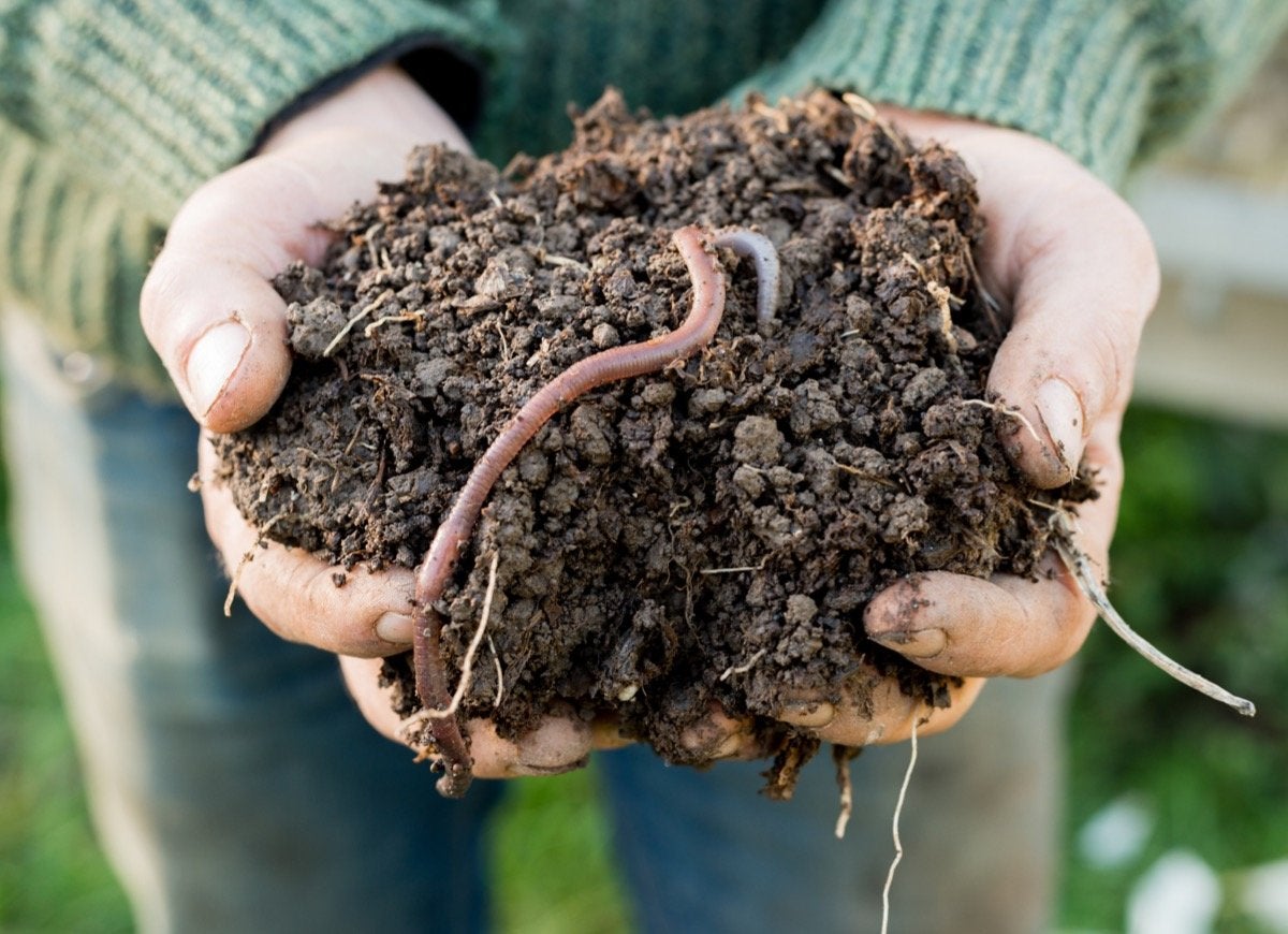 9 Mistakes You’re Making That Are Damaging Your Soil