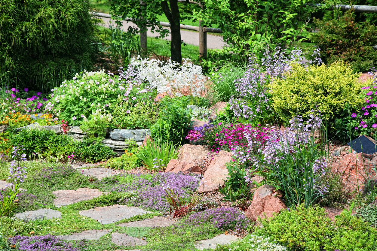 Woodland garden