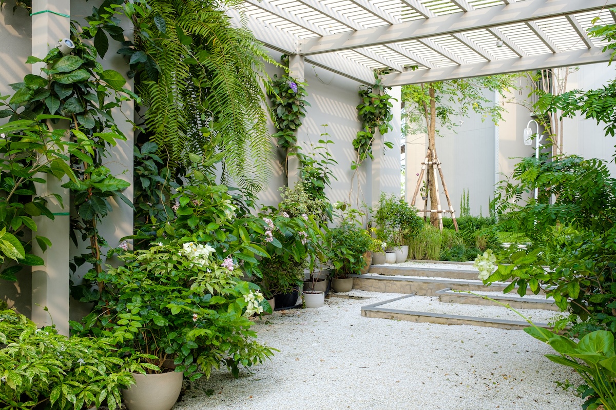 Patio en gravier avec parabole et jardinières vertes.