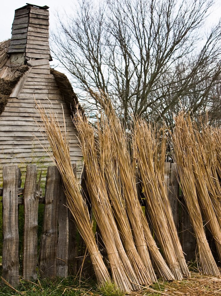 What It Was Like Inside the Homes of the Pilgrims