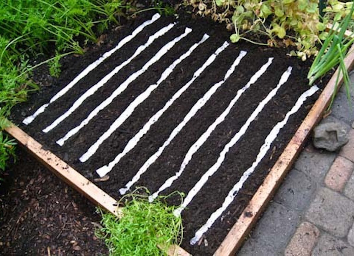 19 “Zero Dollar” Garden Hacks