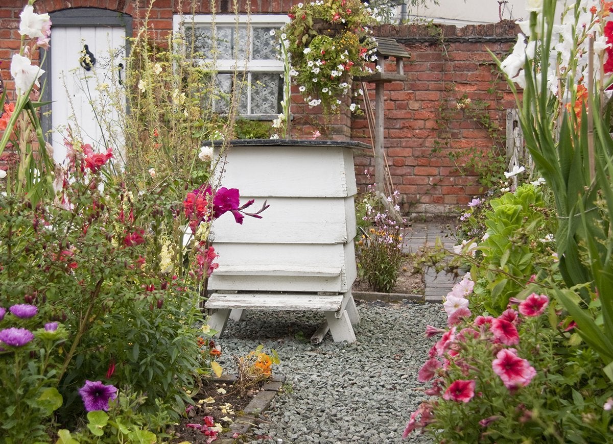 Miel fait maison : comment garder des abeilles dans votre propre jardin