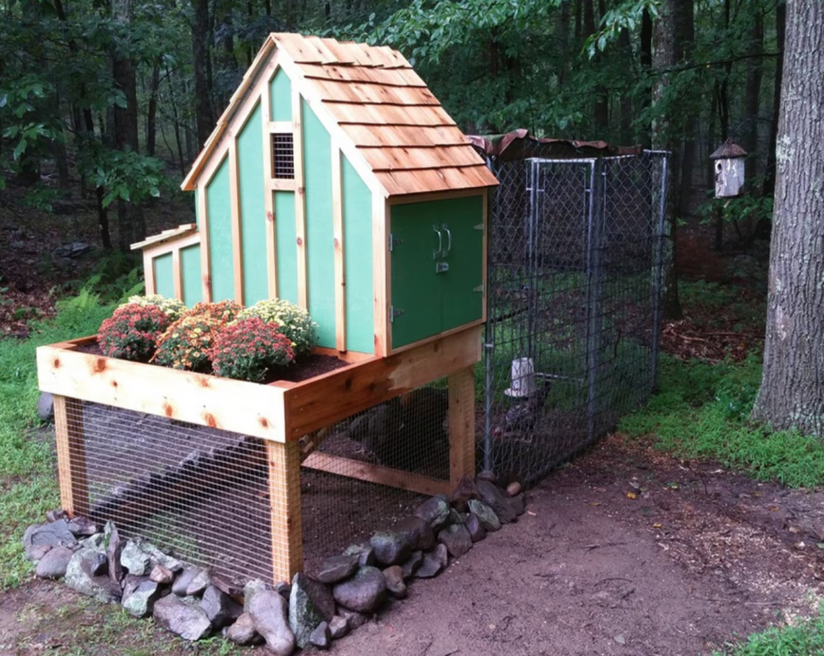 14 Chicken Coop Plans Perfect for Big or Small Homesteads