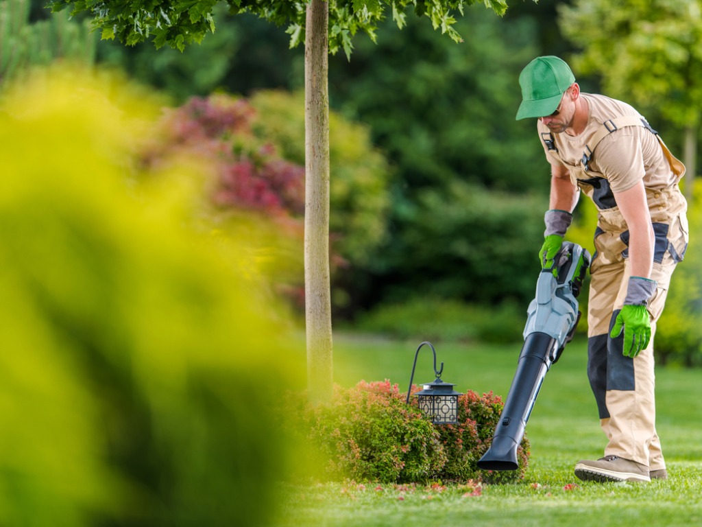 gardener-with-cordless-leaf-blower-cleaning-backyard-garden-picture-id1263707169