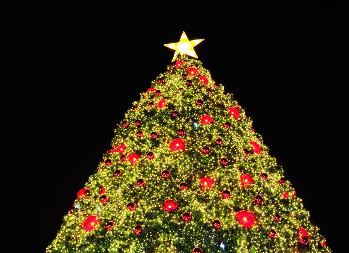 8 Things You Never Even Knew About Christmas Trees