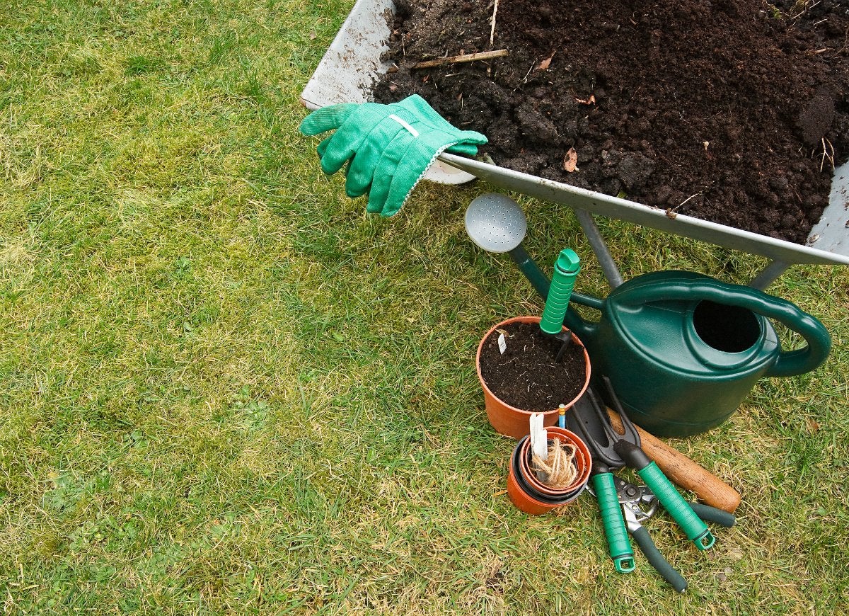 11 Ways You’re Accidentally Ruining Your Lawn