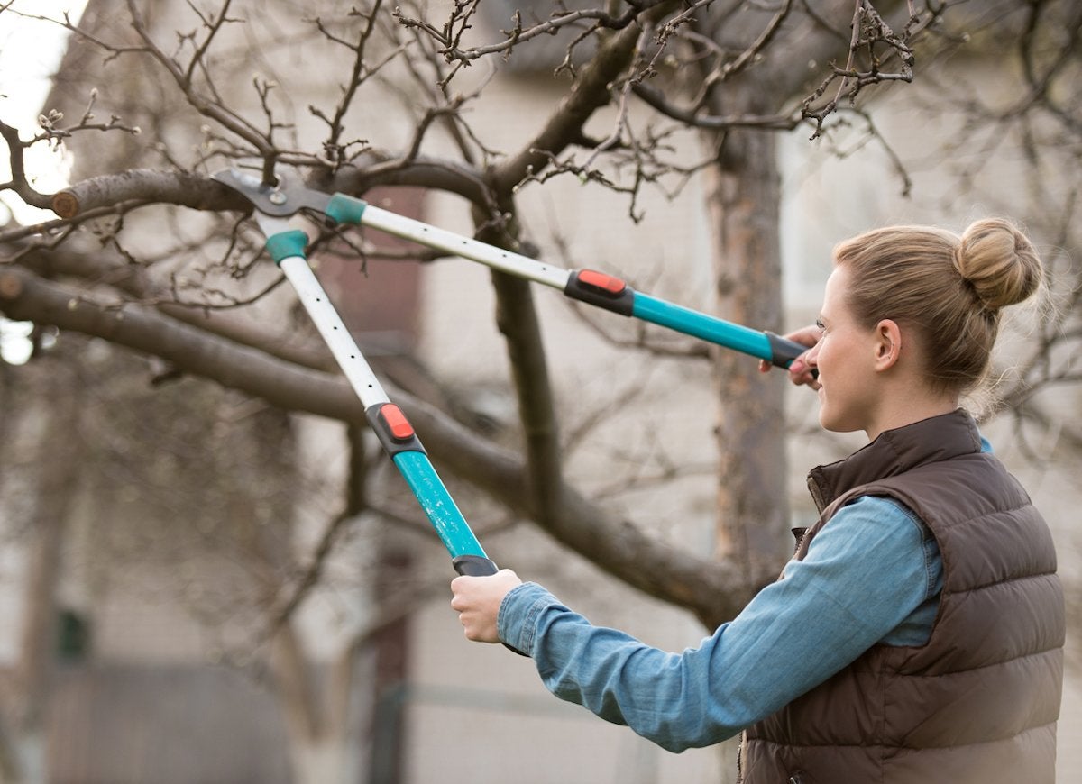 25 façons de profiter de votre jardin cet hiver