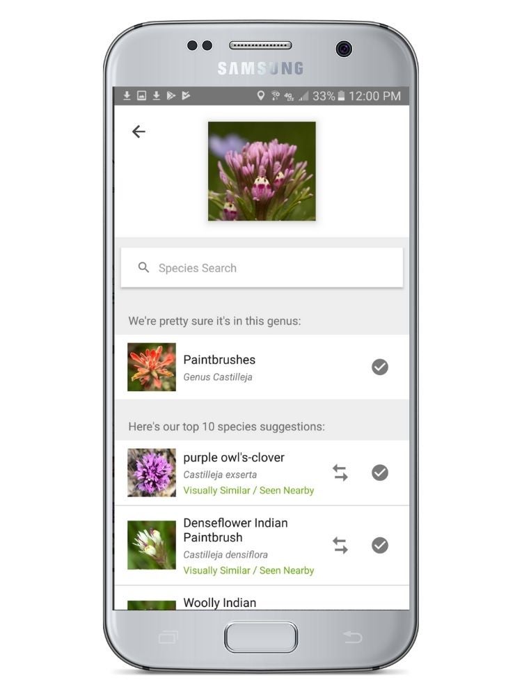 The Best Gardening and Plant Identification Apps for Your Smartphone