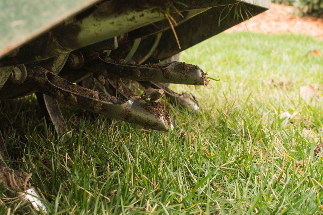 when to aerate lawn