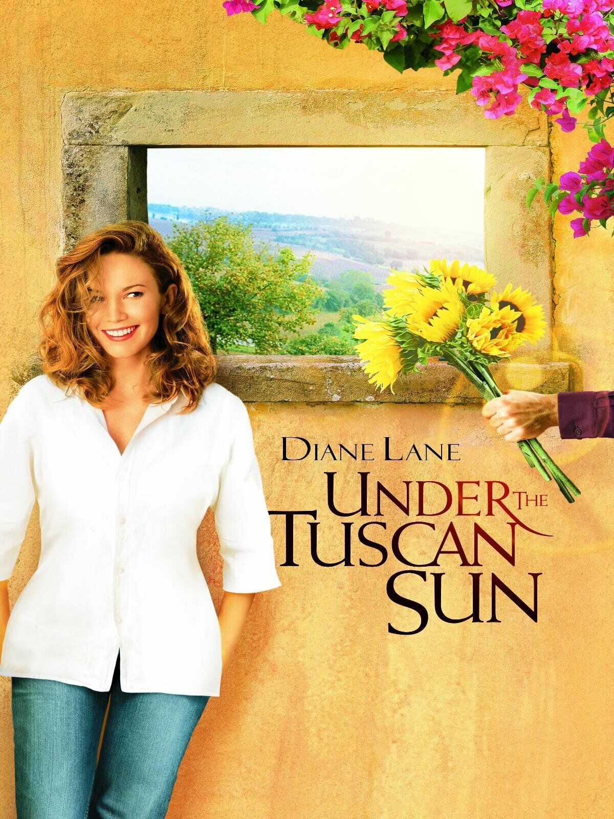 Rénovations domiciliaires sur eBay dans les films sous le soleil de Toscane, affiche du film et images fixes du film.png