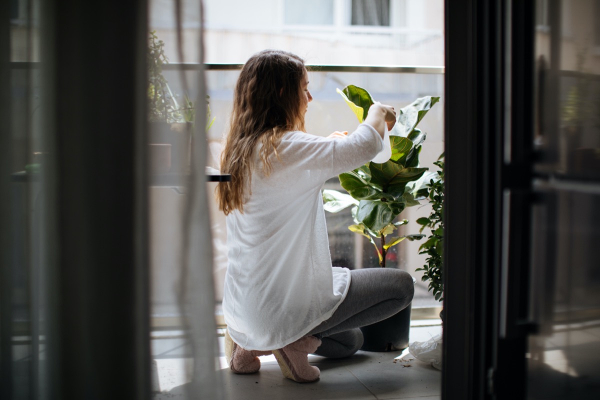 How to Inspect Houseplants So You Don’t Bring Home an Unhealthy or Infested Specimen