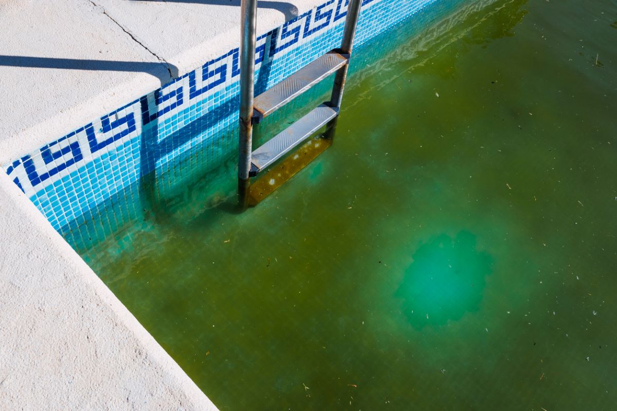 Que fait le bicarbonate de soude pour une piscine ?