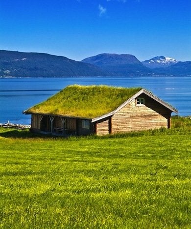 Trending Now:  Green Roofs