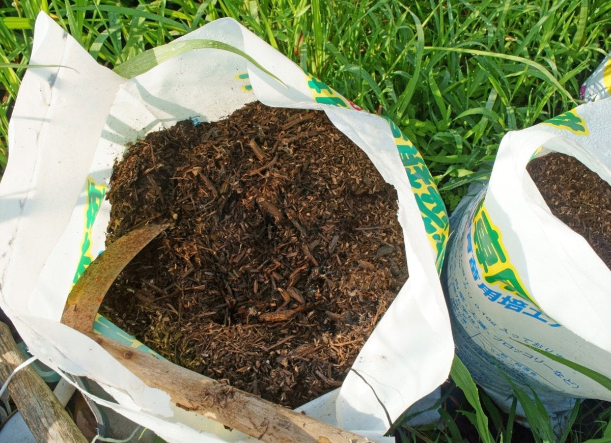 9 Mistakes You’re Making That Are Damaging Your Soil