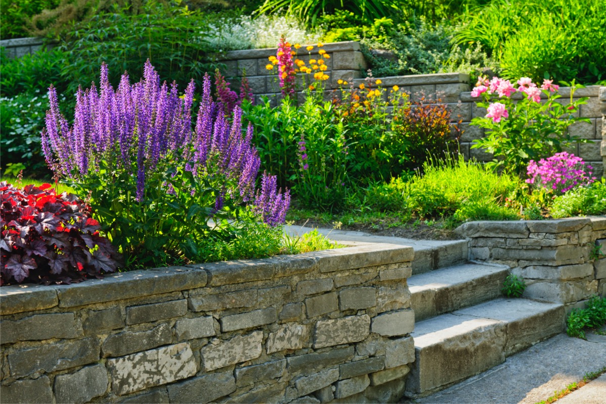 A winding walkway with steps with flower beds surrounding the hardscaping.