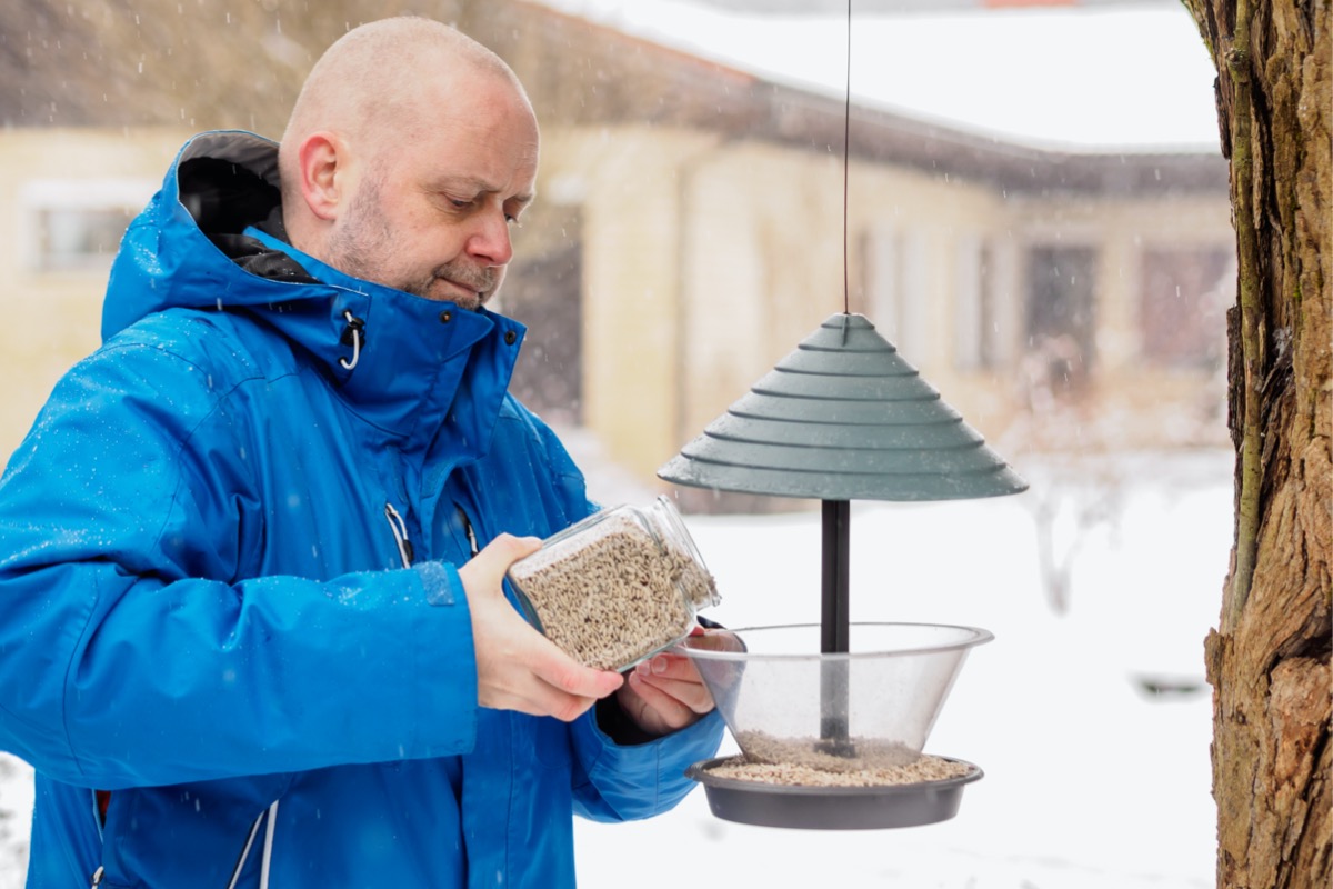 comment attirer les cardinaux