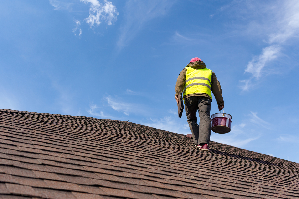 can you paint roof shingles