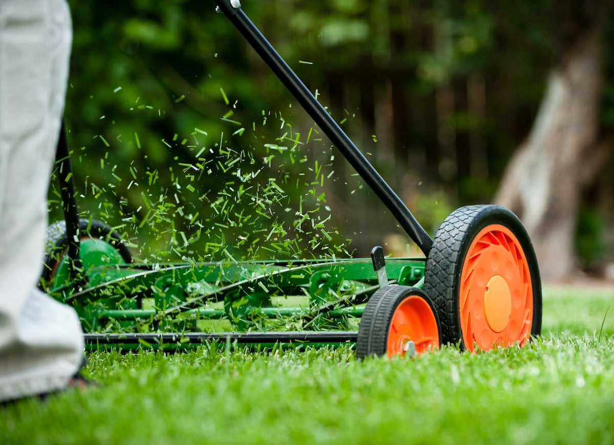 10 Times You Can Get Nature to Do Your Yard Work for You