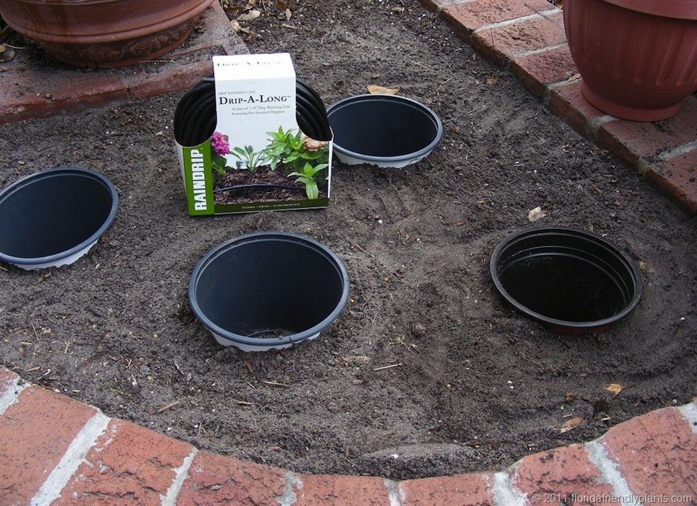 19 “Zero Dollar” Garden Hacks