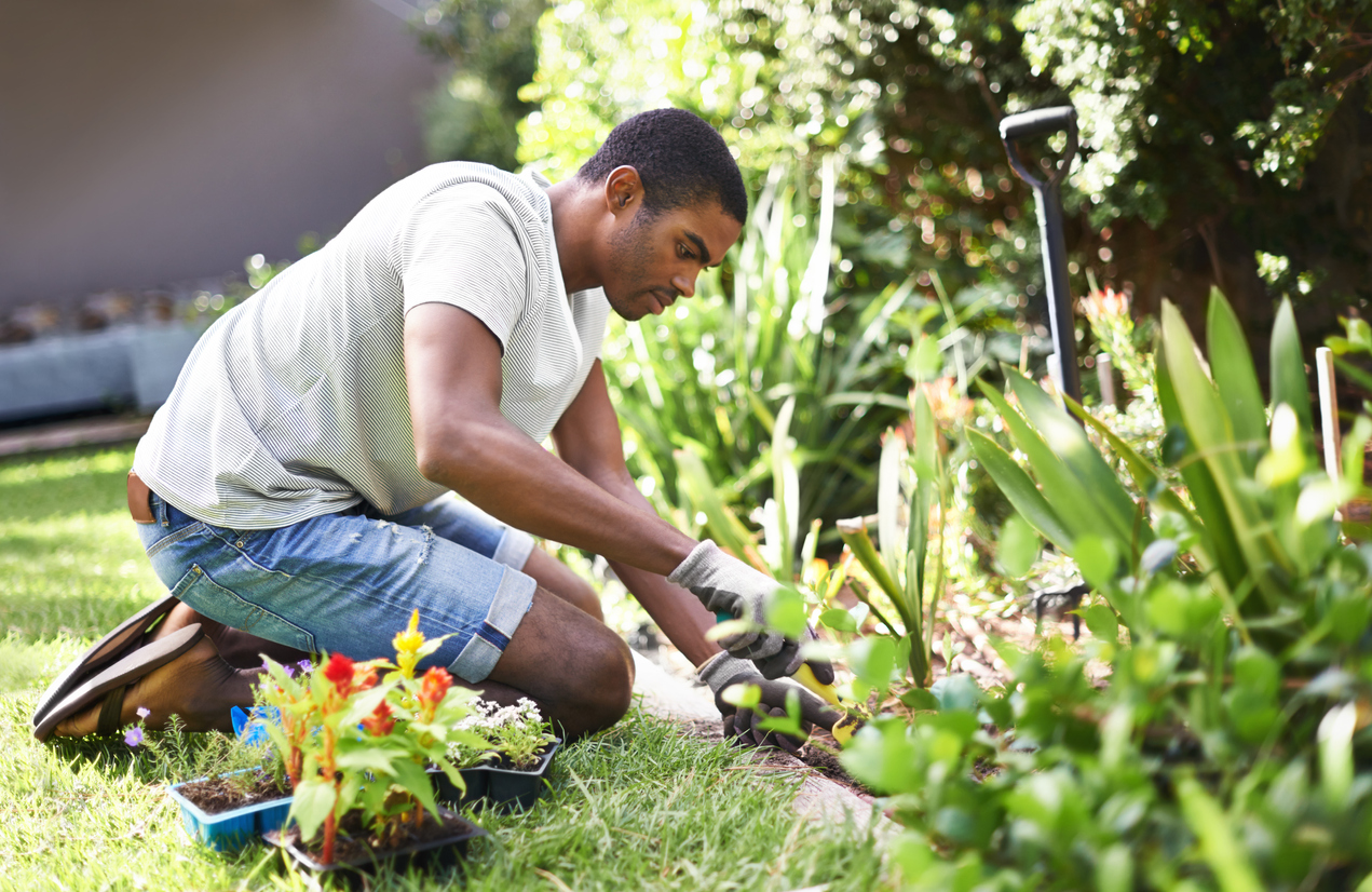 Young man planting flowers