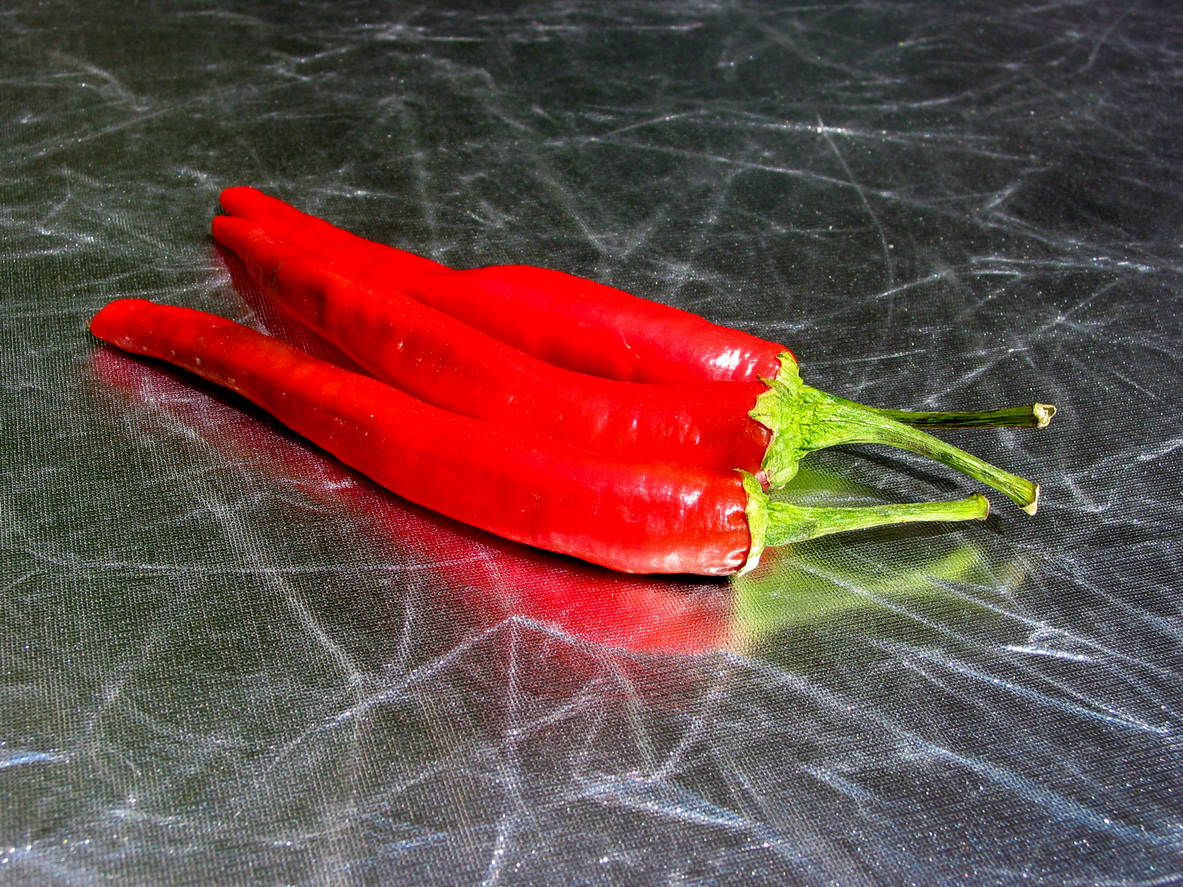 Piments rouges frais et épicés