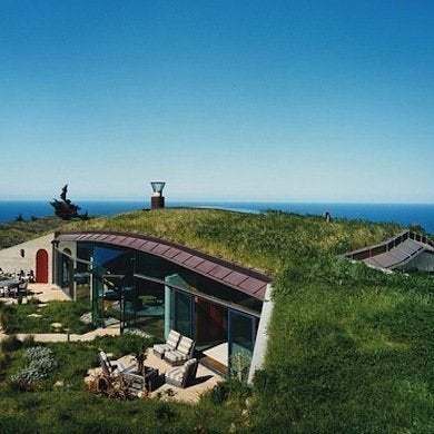 Trending Now:  Green Roofs