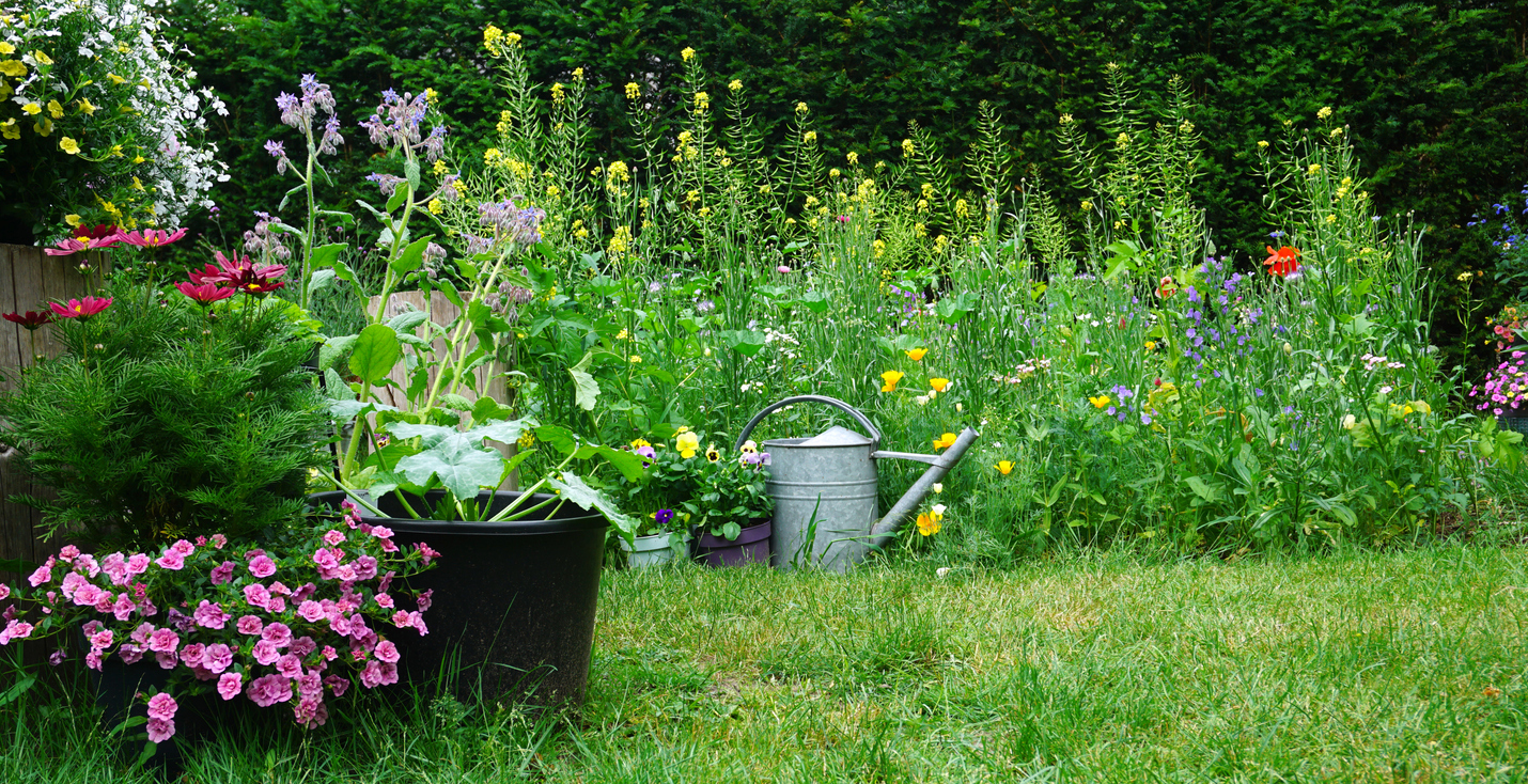 fall planting