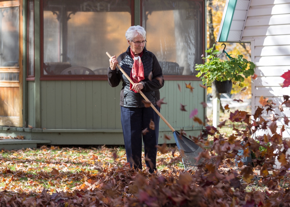 Femme âgée ratissant les feuilles