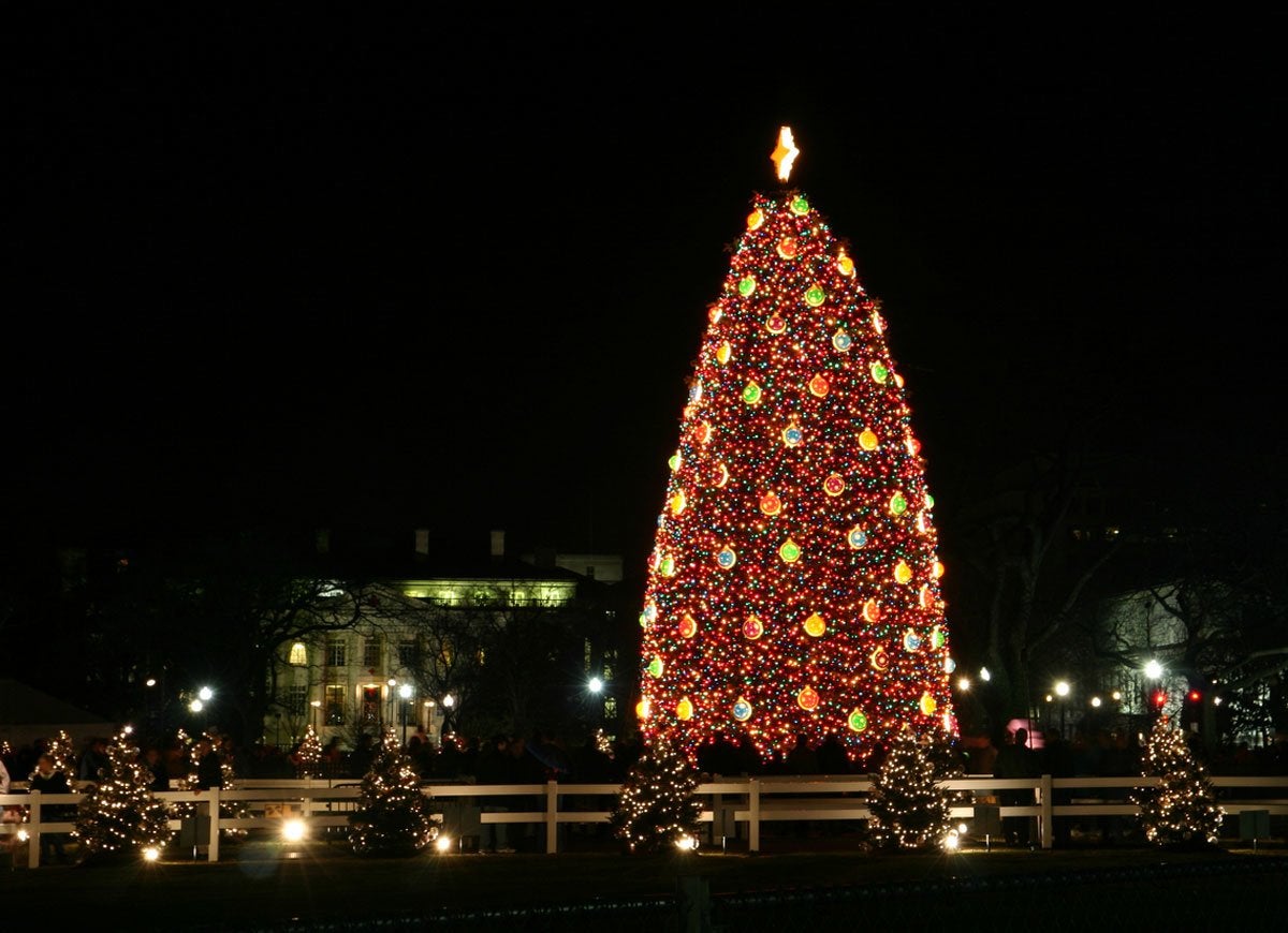 8 Things You Never Even Knew About Christmas Trees