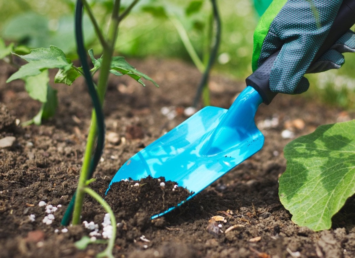 9 Mistakes You’re Making That Are Damaging Your Soil