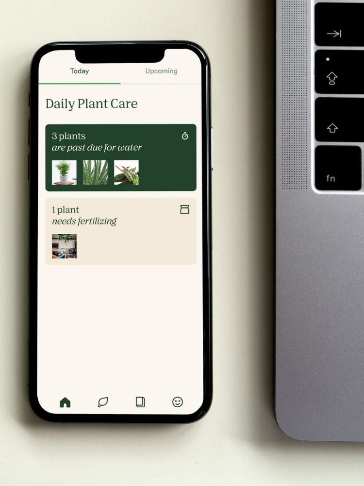 The Best Gardening and Plant Identification Apps for Your Smartphone