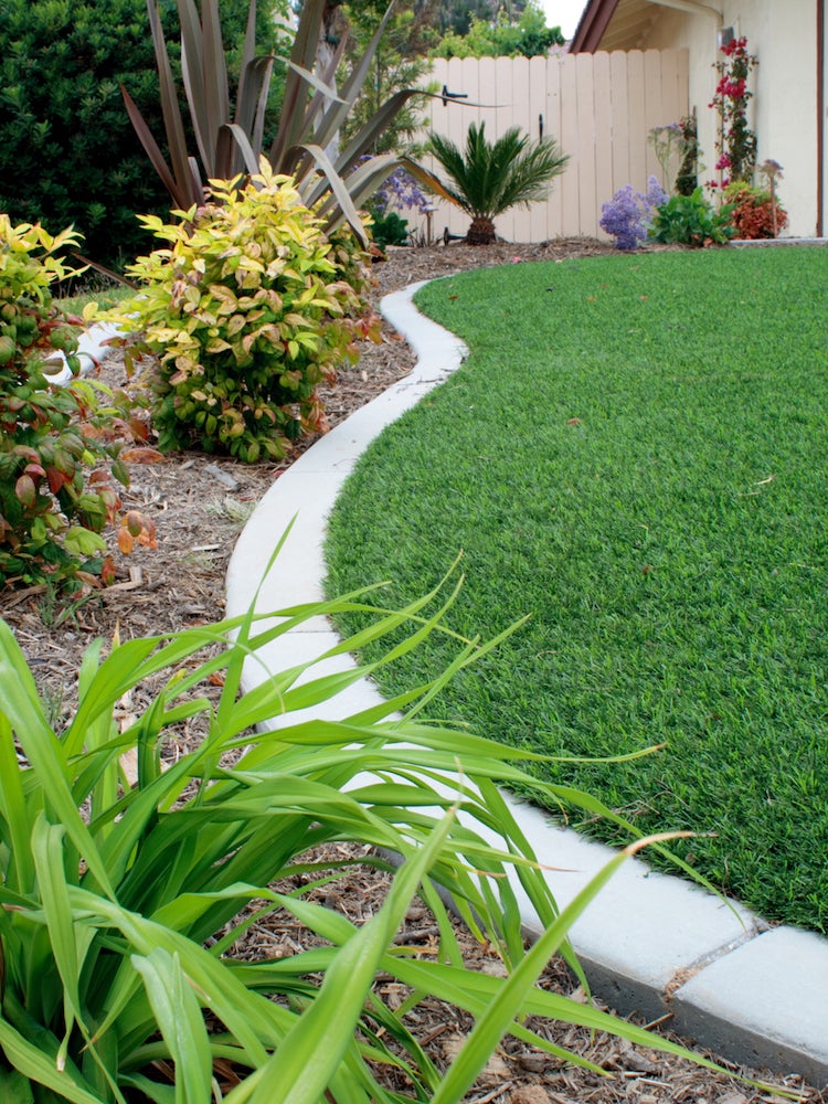 The Most Common Questions About Artificial Grass, Answered