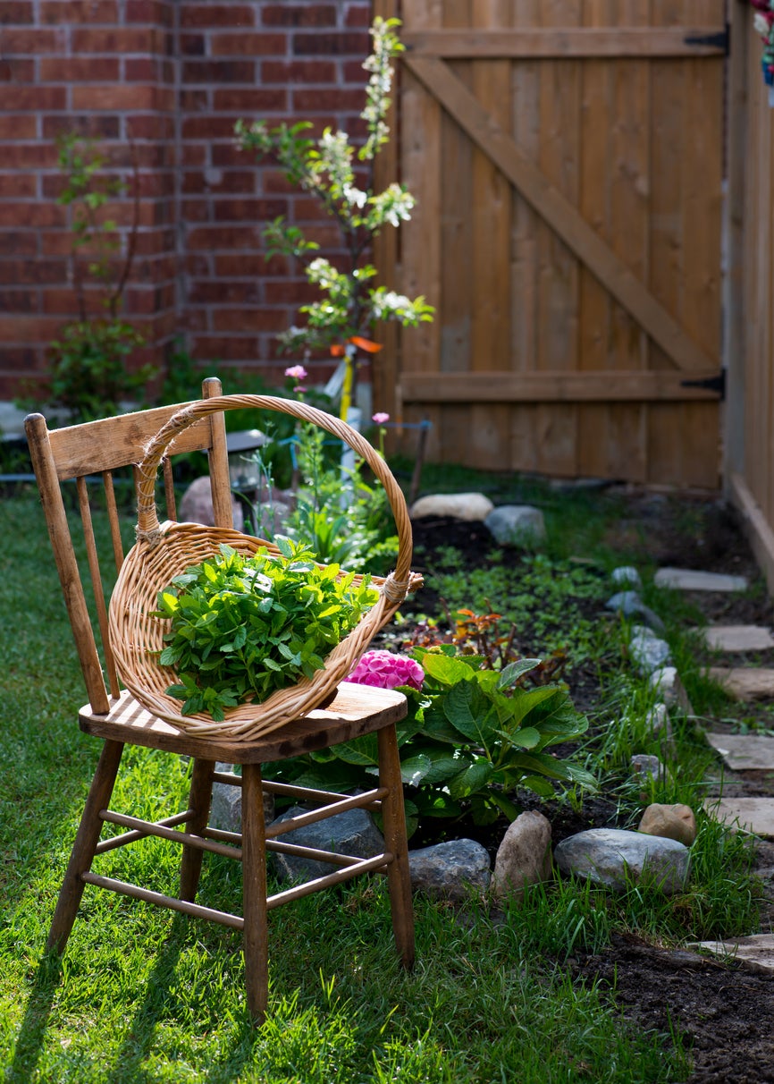 10 In-Season Gardening Chores You Should Be Doing Every Week